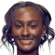 佳则以并列 佳则以并列